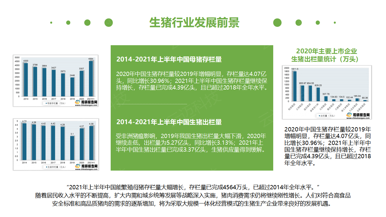 生豬競價(jià)解決方案_04.png