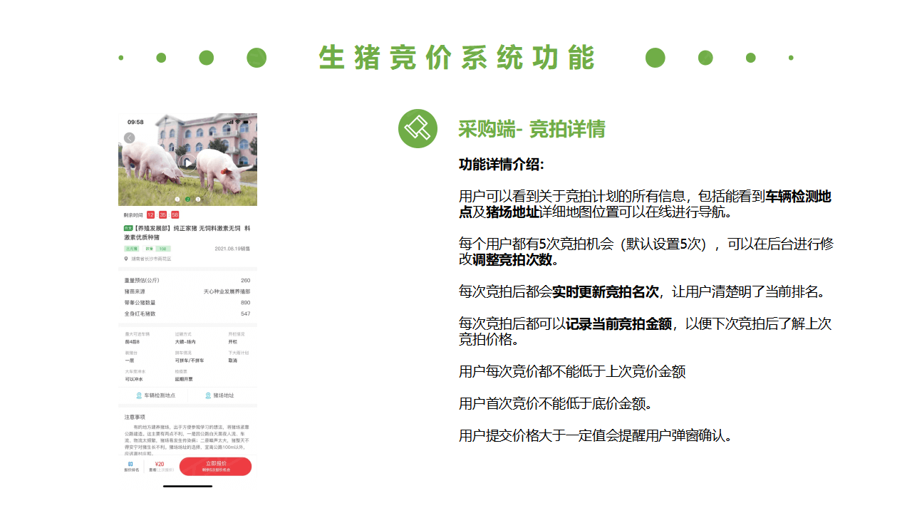生豬競價(jià)解決方案_15.png