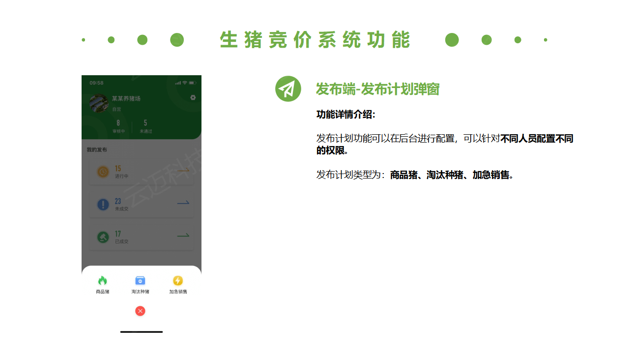 生豬競價(jià)解決方案_21.png