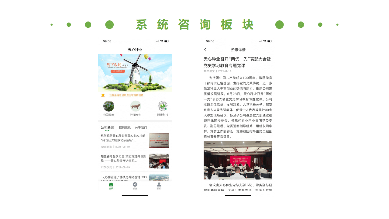 生豬競價(jià)解決方案_24.png