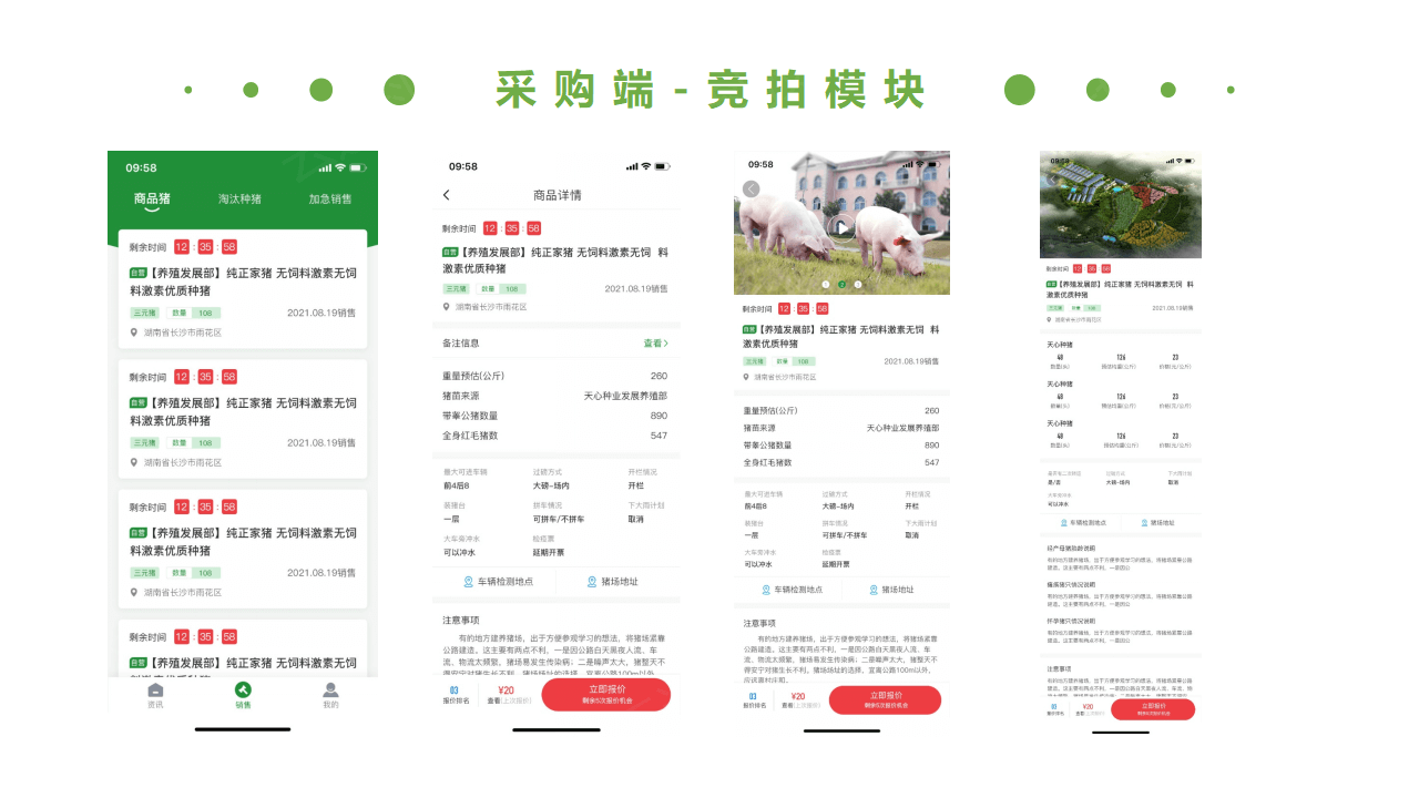 生豬競價(jià)解決方案_25.png
