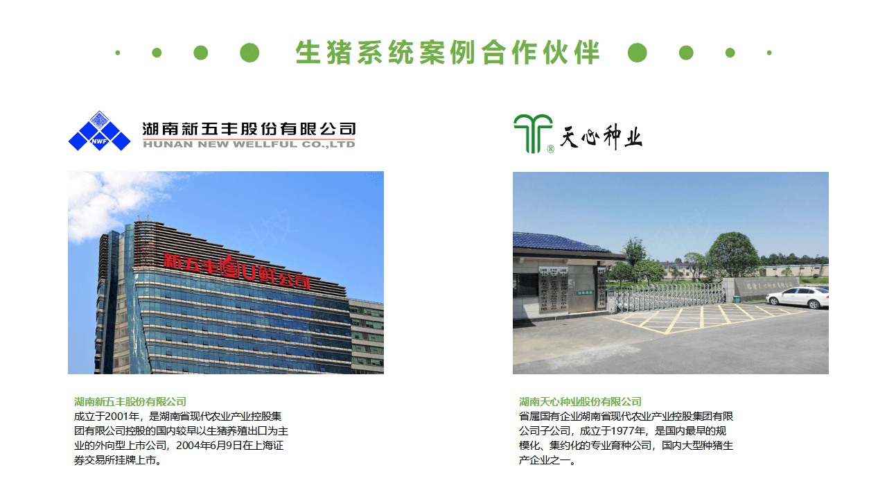生豬競價(jià)解決方案_36.png