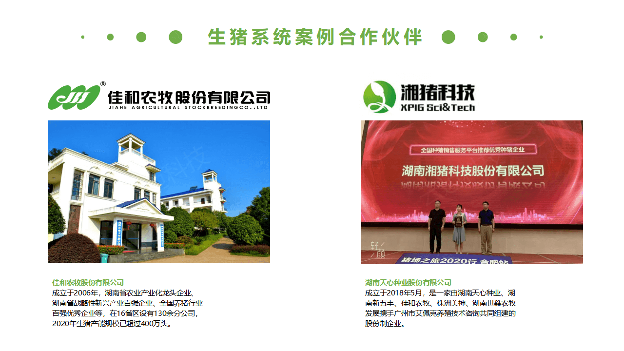 生豬競價(jià)解決方案_37.png