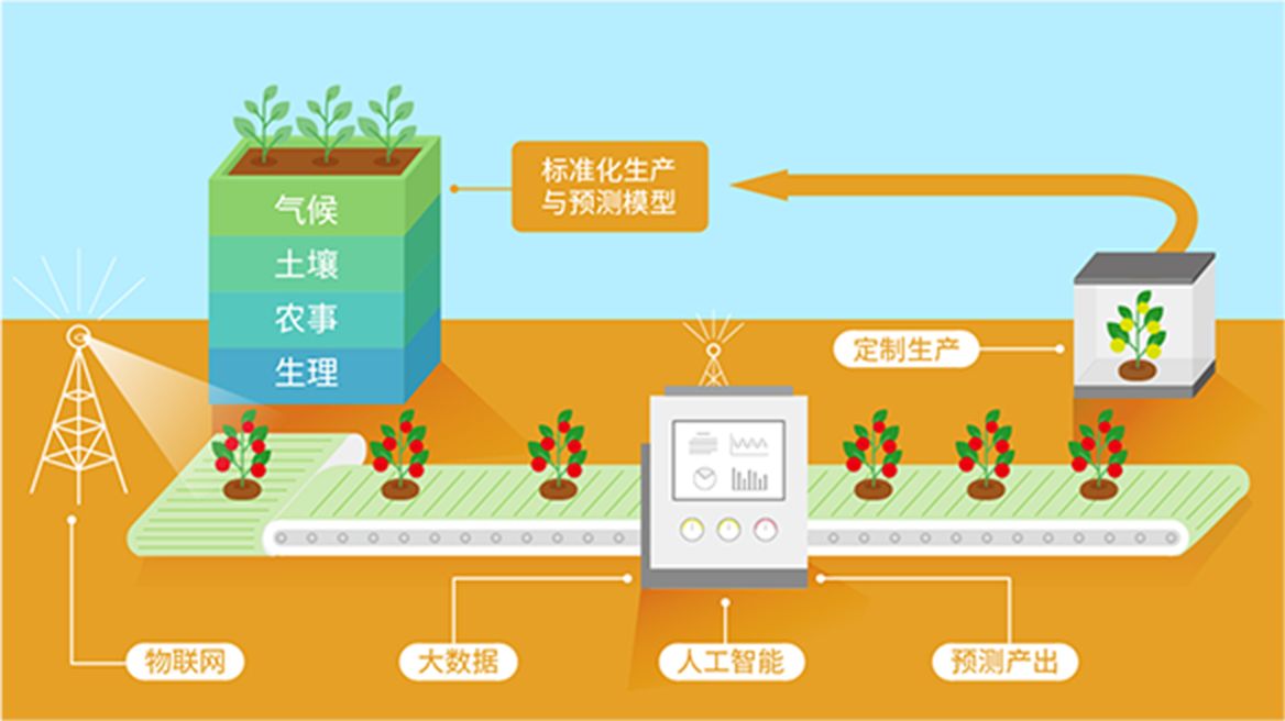 現代化農業(yè)平臺解決方案